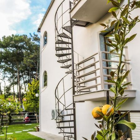 Vlachogiannis Hotel Prínosz Kültér fotó